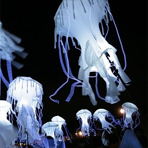 Luminous Jellyfish image
