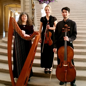 The Amethyst Trio image